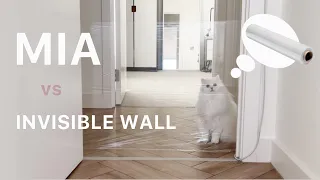 Mia the Cat vs Invisible wall