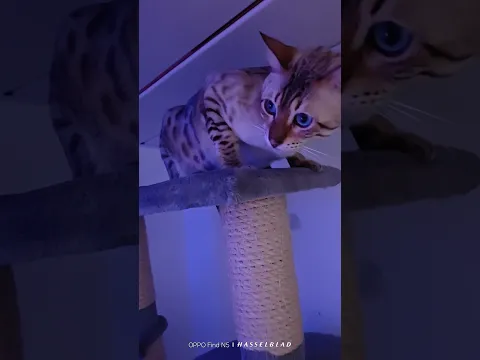 ❤️❤️❤️❤️❤️