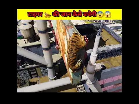 टाइगर की जान कैसे बचेगी🐅😨😳#shorts