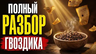 Гвоздика полный разбор 
