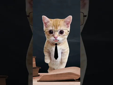 CATLANDO SCHOOL - ANIMALS 2 🦏🦓🐪🦁