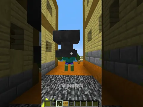 Minecraft Freezing Time To Save Village 💀