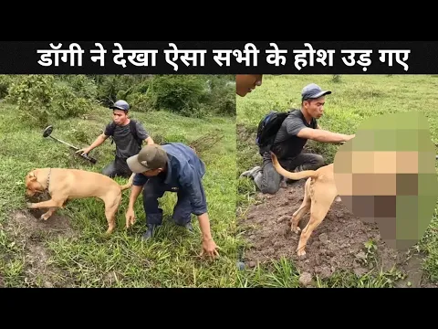 कुत्ते ने गड्ढे से निकाली ऐसी चीज 🔥😱 #shorts #facts#supergyani #ytshorts