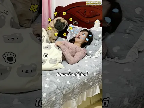 เอาอีกแล้ว! เจ้าน้องชายตัวดี ป่วนพี่สาวจนบ้านวุ่น