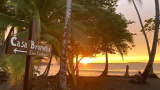 One-of-a-Kind Beach House for Sale in Costa Rica’s Osa Peninsula!