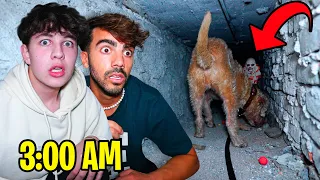 MI PERRO VIO ALGO EN EL TÚNEL DE FEDE