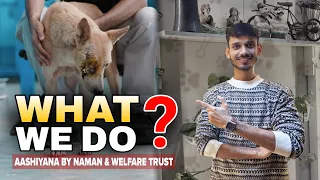 "WHAT WE DO ?🤔|| @aashiyana_by_naman🐾 || Recovery Home 🐶