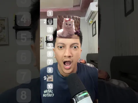 Rating Kucing Yang No 1 Imut Banget