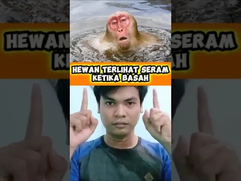 HEWAN TERLIHAT SERAM KETIKA BASAH