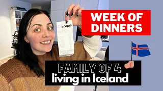WEEK OF DINNERS! $45 FOR A FAMILY OF 4 IN ICELAND!