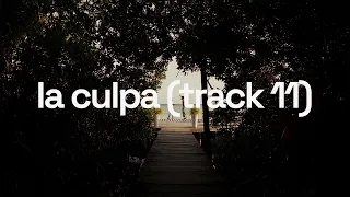 Alleh & Yorghaki - la culpa (track 11) (visualizer)