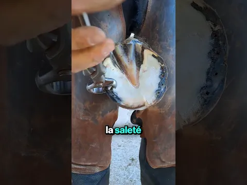 Restauration Satisfaisante d'un Fer à Cheval