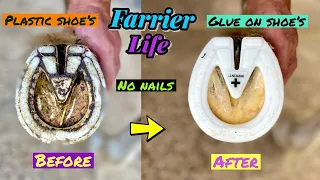 SATISFYING NEW PLASTIC HORSESHOES!! FARRIER - NO NAILS! GLUE ON SHOES - IMPRINT