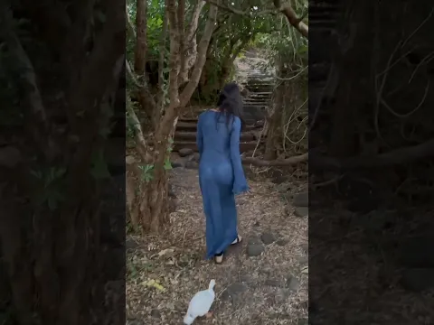 Taking the duck for a walk