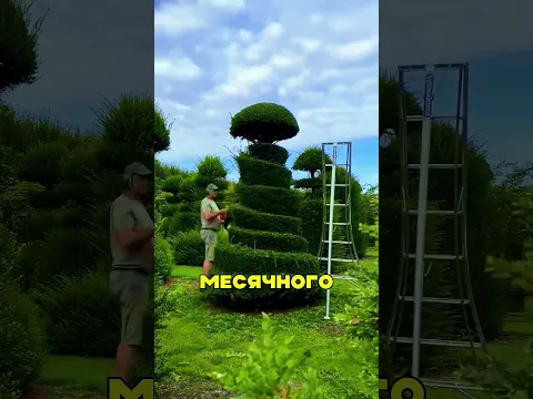 Королевский САДОВНИК 😯