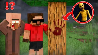 How Njbon and Villager Found the Biggest Footprint Verity?