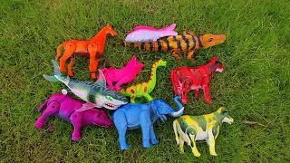 บรรยากาศยามเย็นกับปลา สุนัข ช้าง วัว ม้า ควาย ไดโนเสาร์ที่สนามหญ้า dinosaur cow buffalo horse dog