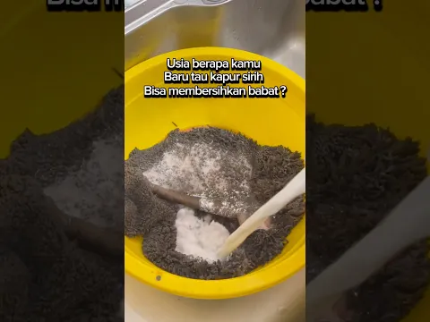 Pakai cara ini untuk membersihkan Babat sapi jadi putih bersih seperti baru lagi 😀
