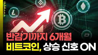 비트코인반감기 전 마지막 매집 기회, 전략은 이렇게 세우세요