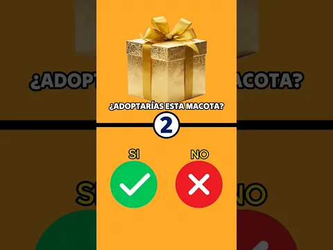 ELIGE SÍ O NO RÁPIDAMENTE 🎁