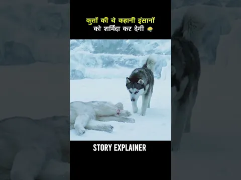 कुत्तों की ये कहानी इंसानों को शर्मिंदा कर देगी