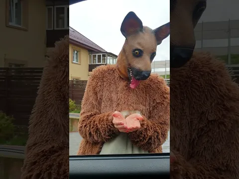 Always help the animals
