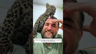 A Small Act of Kindness That Saved an Animal #animals #rescue #wildlife #animalrescue #animallovers
