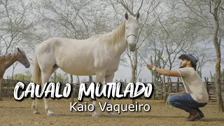 CAVALO MUTILADO Kaio Vaqueiro ( CLIP OFICIAL ) 2026