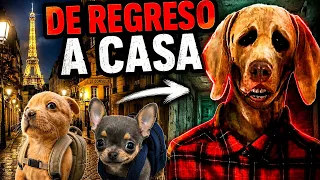 LO MEJOR de mis HISTORIAS de PERRITOS 💀🐕