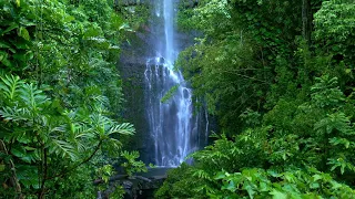 Relaxing Piano Music for Business Focus & Wealth Success