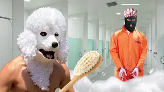 Cuando tu PERRO escapa de la CARCEL