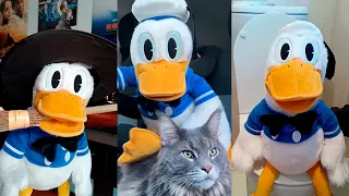 SI TE RIES PIERDES #1🤣🦆 - SAN PITO PATO (Recopilación #1)