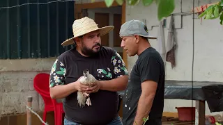Le vendo un pato - Maratón de Comedia