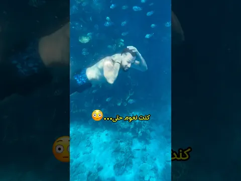 تلاقيت بشمسو تع 2014