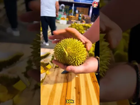 Sầu riêng đột biến tí hon