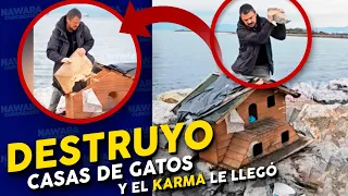 Destruyo Casas de gatos para dar una lección a todos!