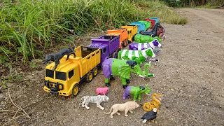 Wow‼️ Angkut Sapi Lucu Warna Warni Gajah Kuda Kambing Singa Harimau Elang dengan Truk Oleng