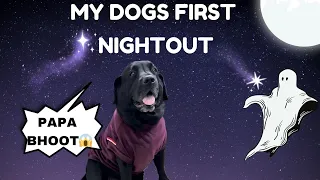 My Dogs First Night Out | No Sleep Challenge With My Dog
