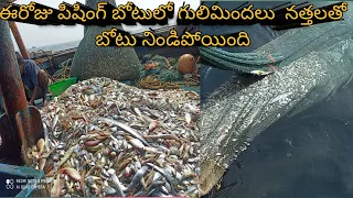 ఈరోజు ఫిషింగ్, లో చేపలతో బోటు నిండిపోయింది#viral #youtube @port ramu subscribe to🙏 🤝