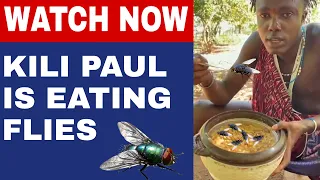 Kili Paul Is Eating Flies l Share His Favourite Food of Maasai Tanzania