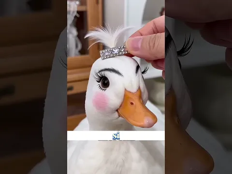 Não vá embora sem deixar o like 👍