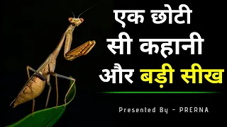 एक छोटी सी कहानी में बहुत बड़ी सीख || कहानी जो अनमोल सीख दे || Short Moral story..