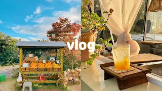 ENG) 제주도 계속 돌아다니는 제주도 자취생 브이로그 | 딘딘 만난 썰푼다,,, | 우드카빙 | 할로윈 파티 | 한라산 등산 | 제주도민 맛집 | 제주도민 추천 카페