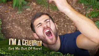 Owen has a feast in the Bushtucker Bonanza! | I'm A Celebrity... Get Me Out Of Here!