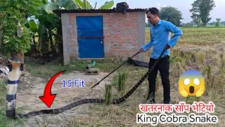 😱 🐍 King Cobra snake rescue 😭 सबै भन्दा ठुलो खतरनाक किंग कोब्रा सर्प भेटियो आज