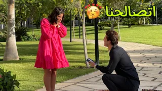 حليم وبيلا عملو اكبر مفاجاة لامل 💍رد فعلها...