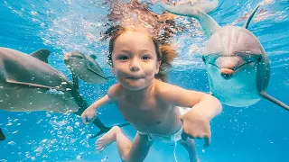 3 Year Old Sees Dolphins & Trip Ends Badly
