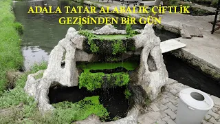 Adala'da Tatar Alabalık Gezisi | Manisa-Salihli