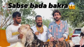||DUNIYA KA SABSE BADA BAKRA|| yaha milte hai😱