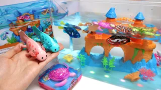 Toy asmr 🐠 Zuru Robo Alive Aquarium Playset ASMR Satisfying with Unboxing | Review toys